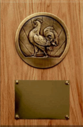 Champions des Pyrénées